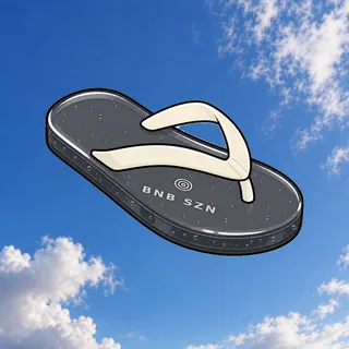FlipFlops #1860