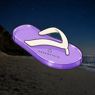 FlipFlops #1865