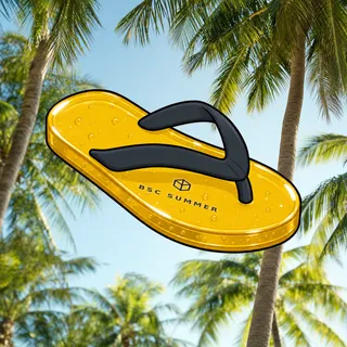 FlipFlops #187
