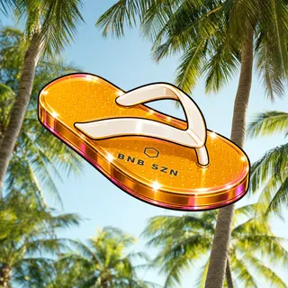 FlipFlops #1890