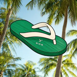 FlipFlops #1903