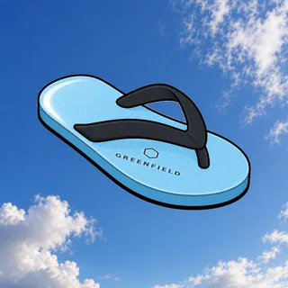 FlipFlops #1906
