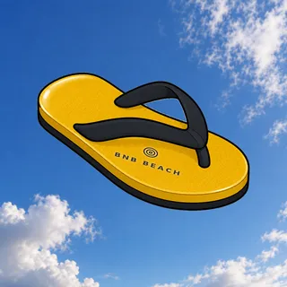 FlipFlops #1908