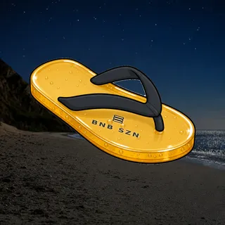 FlipFlops #1909