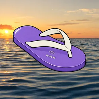 FlipFlops #1911