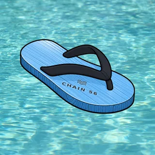 FlipFlops #1926