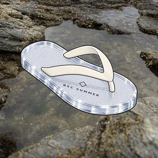 FlipFlops #193