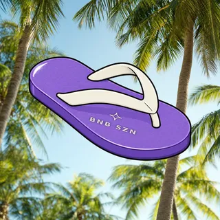 FlipFlops #1964