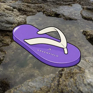FlipFlops #1966