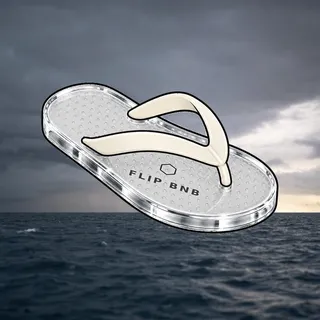 FlipFlops #1970