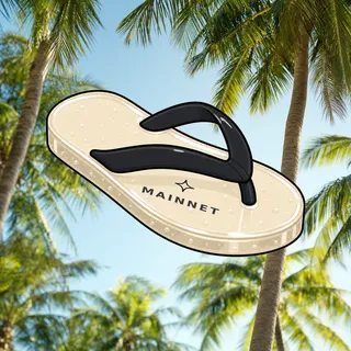 FlipFlops #1996