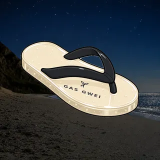 FlipFlops #1999