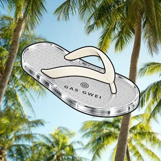FlipFlops #20