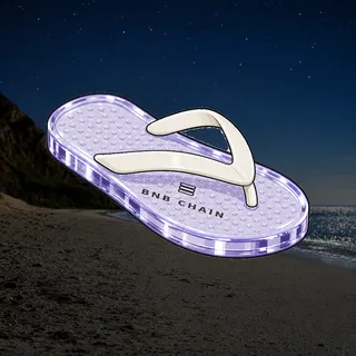 FlipFlops #21