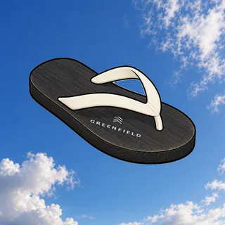 FlipFlops #211