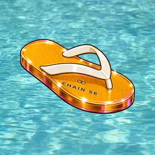 FlipFlops #216