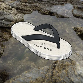 FlipFlops #218