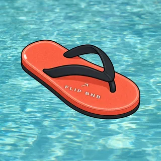 FlipFlops #222