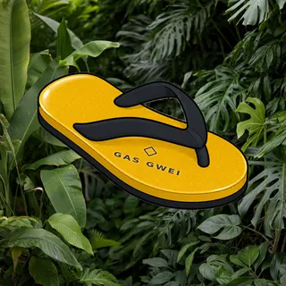 FlipFlops #225
