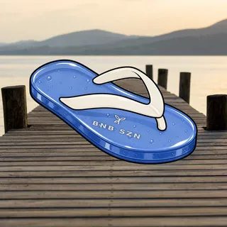 FlipFlops #239