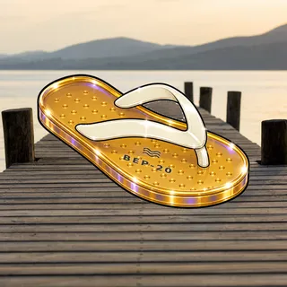 FlipFlops #246