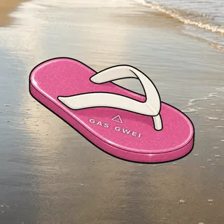 FlipFlops #250