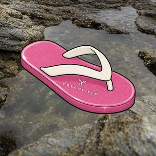 FlipFlops #255