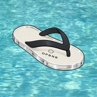 FlipFlops #258