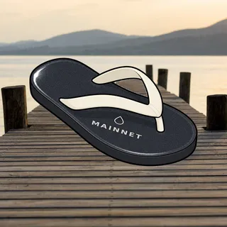 FlipFlops #265