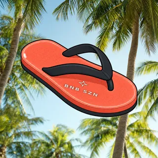 FlipFlops #268