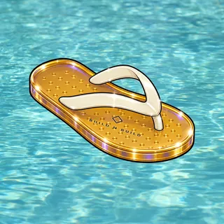 FlipFlops #273