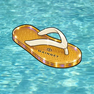 FlipFlops #283