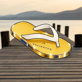 FlipFlops #286