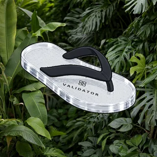 FlipFlops #29