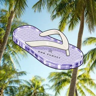 FlipFlops #291