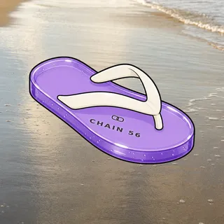 FlipFlops #296