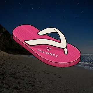 FlipFlops #303