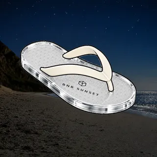 FlipFlops #315