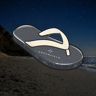FlipFlops #316