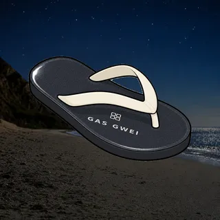 FlipFlops #317