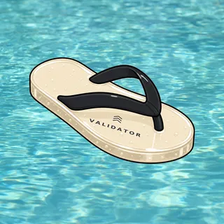 FlipFlops #323