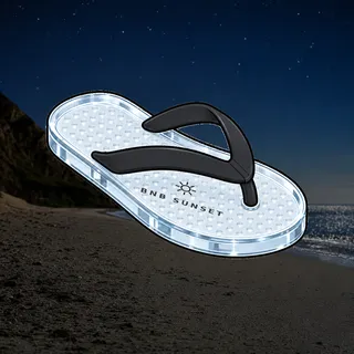 FlipFlops #327