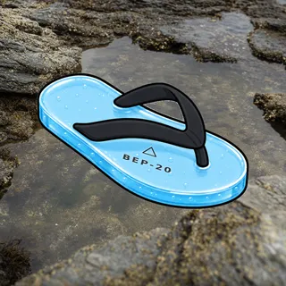 FlipFlops #346