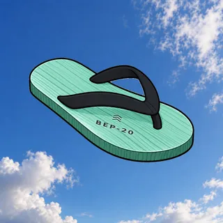 FlipFlops #35