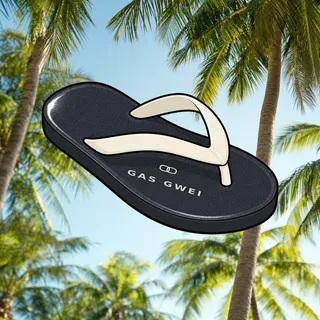 FlipFlops #360