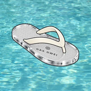 FlipFlops #372