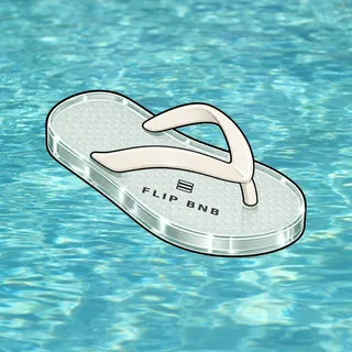 FlipFlops #373
