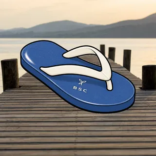 FlipFlops #383