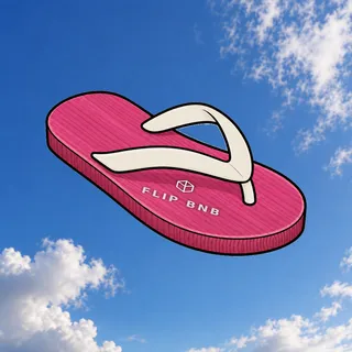 FlipFlops #395