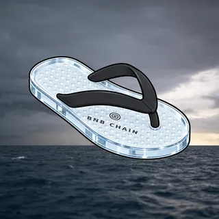 FlipFlops #4